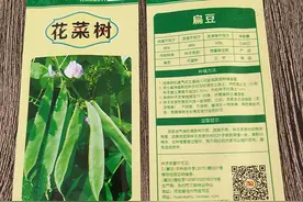 一些蔬菜种子包装上标有“不得留种”，就真的不能留种了吗？图片