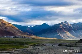 雪域高原上竟有这么多珍稀国宝级野生动物！图片