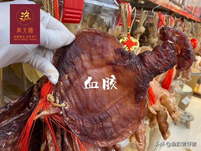 花胶热性还是凉性 2026年花胶热性还是凉性食物