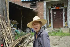 81岁老人养蜂半世纪，自创多种养蜂工具，怕蜜蜂丢失树下睡3个月图片