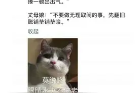 搞笑我们是专业的，除非忍不住....哈哈哈哈图片
