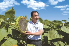 大地灵性福如春——记河北硅谷集团董事长宋福如图片
