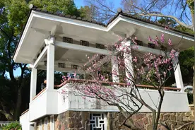 梅花盛开美如画，口风琴声多优雅图片