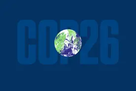 2030年起不再砍树？114个国家同意了！然而还有国家要反悔图片