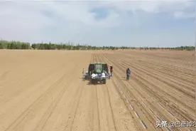 快看！巴彦淖尔这里用上了无人驾驶拖拉机图片