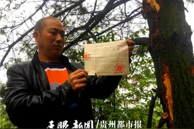 山证在手里，山却被卖了！村民：“把山还给我！”图片