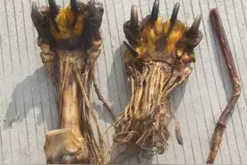 文玩骗术的“最高境界”，明明一文不值，却伪装颇深！图片