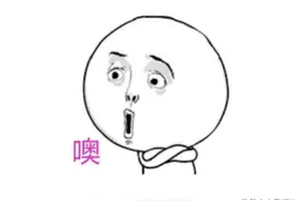 爱囤粮、记性差的松鼠，为啥能收获一片森林？盘点大自然的种树“达人”图片