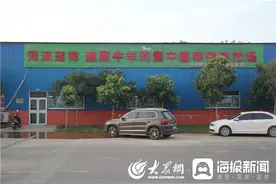 记者零距离参观全省首家获得合法资质的牛羊肉集中屠宰单位图片