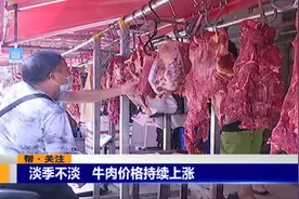 淡季不淡 牛肉价格持续上涨视频封面