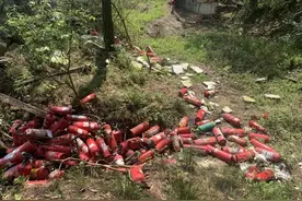浙江一山沟惊现百余个灭火器，暗藏的危机让人倒吸一口凉气......图片