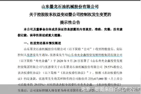 原实控人要走 易主后的山东墨龙能否脱困图片