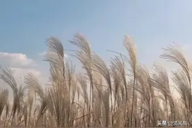 朋友圈晒男朋友的文案说说图片