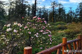 快看过来，一场累并快乐着的瓦屋山两日游~图片