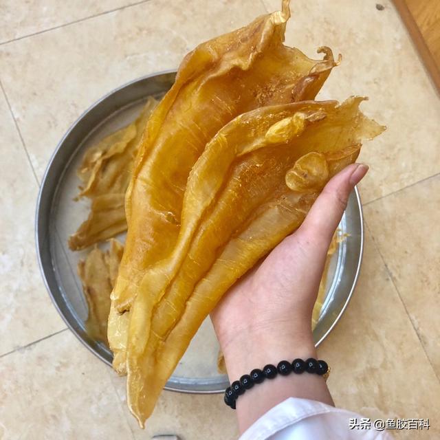 北海阴阳肚鱼胶的功效 2026年北海阴阳鱼胶好不好