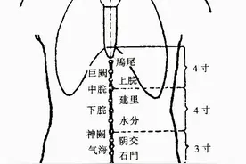 「针灸」38.阴交（任脉）图片
