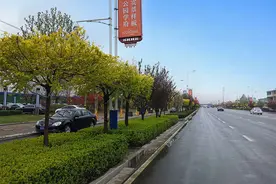 紧急通知！石家庄这个地方要火了！通地铁、建万达！投资113亿图片