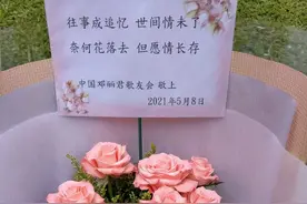 邓丽君离世26周年，粉丝在墓地摆满鲜花纪念，42岁早逝太可惜图片