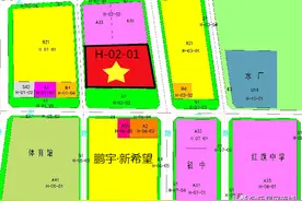 直击拍地：松北新添繁华！宝民地产竞得106.55亩宅地图片