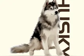 狗狗最古老的十大种类，现在的犬大都是它们繁衍而来，你认识几个图片
