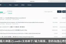 分享一个在线24小时下载种子和磁力可以云播的网站图片