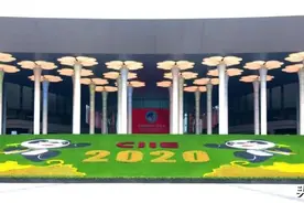 2020进博会丨新时代，共享未来图片