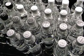 太壕！阿联酋总统英国豪宅曝光，一次未住还要求水龙管里流依云图片