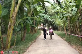 我在花山等你来图片