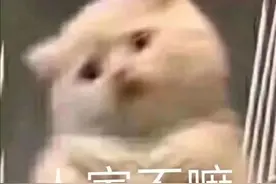 「表情包」 又贱又骚气表情包合集图片