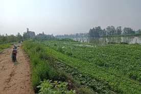 大水之中寻找历史水系——古淇水在汤阴东部的流径图片