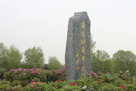 绝美！洛阳这里牡丹、海棠、郁金香花开如海，快趁着清明小长假来一睹芳容吧图片
