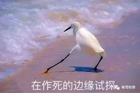 活少高薪时间自由 ，包吃包住工资日结，这样的“工作”你敢要吗？图片