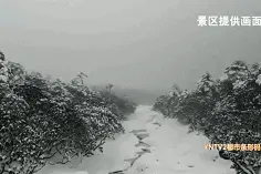 难怪那么冷！又开花又下雪！！断崖式降温，云南多地4月飞雪……图片