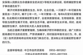 陕宁两省上演抓蝎子续集！鼓励举报非法捕捉野生蝎子行为图片