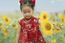 金色童年(摄影:张五)图片