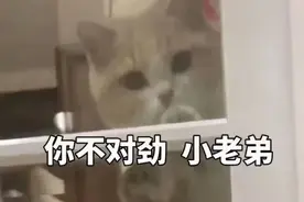 歇后语，四川人民的幽默与智慧图片