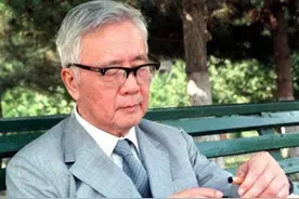 初中文凭，却只用一晚破译日军代码：华罗庚，打破"数学无用论"图片