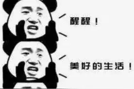 警察趣闻第三十三期：富二代不愿啃老为证明自己，竟成网络诈骗头目？图片