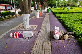 充分听取市民意见，蒙自这条路的防撞墩拆除了！图片