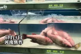 超市打折出售“仰泳鱼”，发现死鱼可告知员工，网友：这是翻肚鱼图片