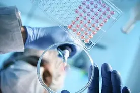 钟南山最新研究表明：莲花清瘟对新冠病毒检测转阴无明显差异图片