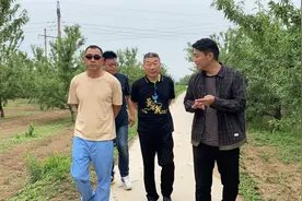 陕西种植巴旦木需要投资多少？效益怎么样？图片