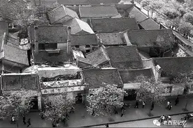 （转）漫话西安柏树林图片