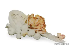 对话大师 | 陈礼忠：天地有大美而不言图片