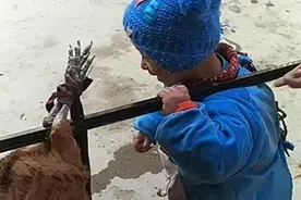 城里宝宝回乡下，给奶奶带一个月，妈妈看到是应该高兴还是哭呢？图片
