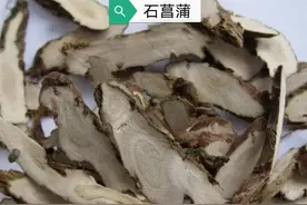 中药古今研究：石菖蒲图片