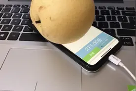 iphone称重，秒变电子秤图片