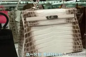 爱马仕最贵的包喜马拉雅能买你们几个家？图片