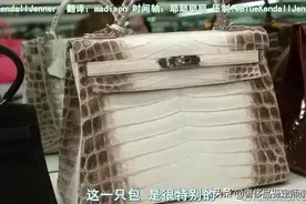 爱马仕最贵的包喜马拉雅能买你们几个家？图片