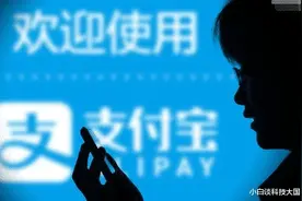这是花呗的“底线”，一旦违规额度不会再提，甚至可能会被封号！图片